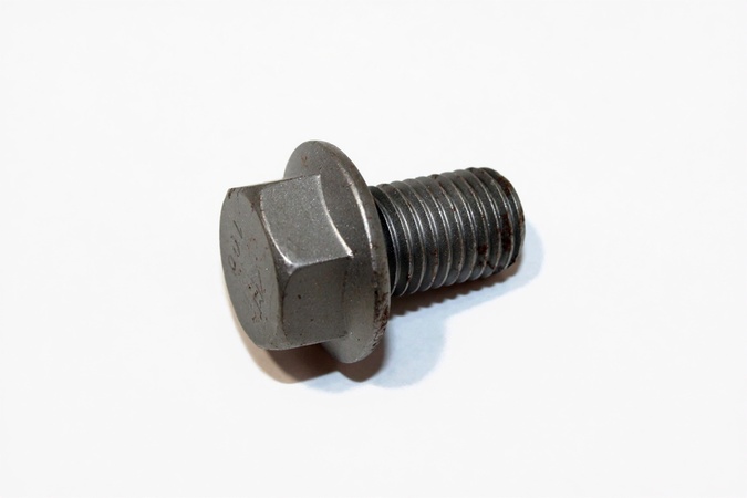 Locking Screw M16X25 100 Verbus-Ripp FLZN