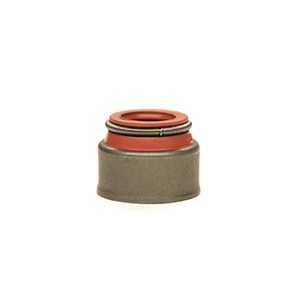 Valve Stem Seal Ring (C Series)
