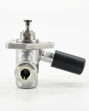 RK Pre-Feed Pump