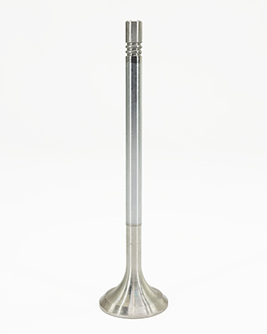 Outlet Valve (C Series)