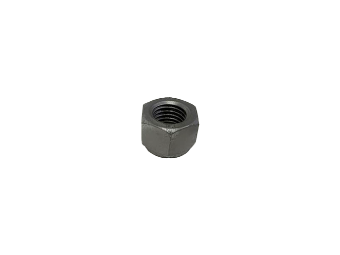 Hex Nut M20