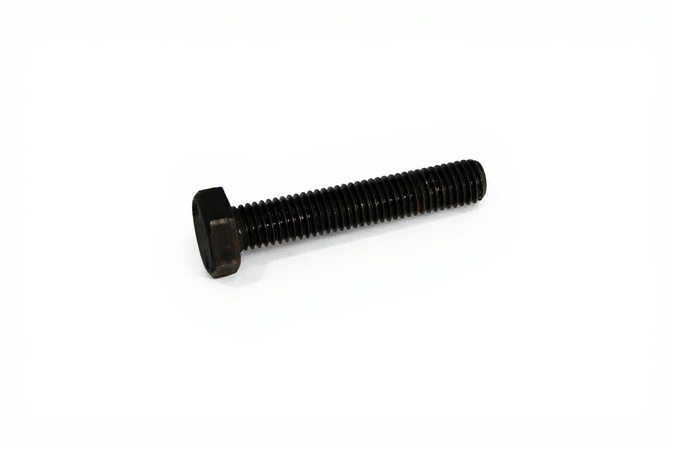 Hex Screw ISO 4017 M10X55 10.9 FLZN