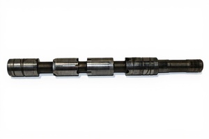 PISTON W  SPRING