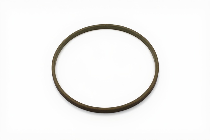 Turcon-Stepseal 100.0X115.1X6.3