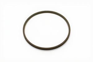 Turcon-Stepseal 100.0X115.1X6.3