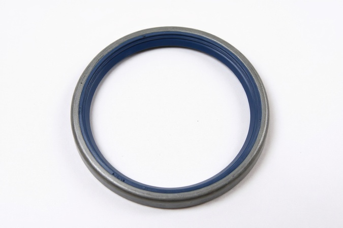Radial Seal B1Fslx60X72X7