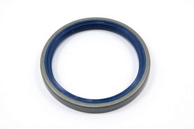 Radial Seal B1Fslx60X72X7