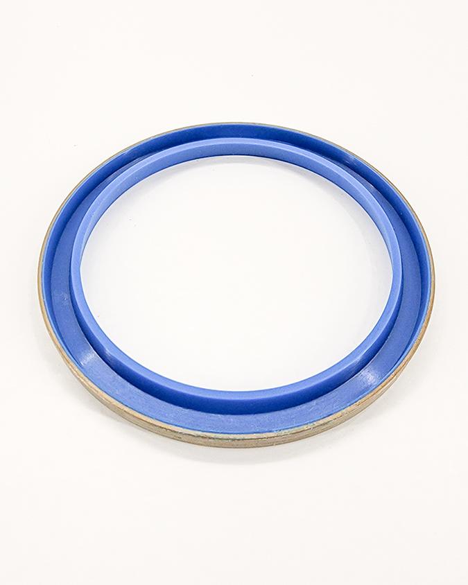 Radial Seal 100x120x8