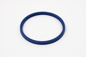 Lip Ring Sealing 48138