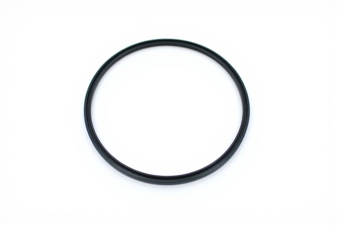 Rod Seal 184.6X175X5.5