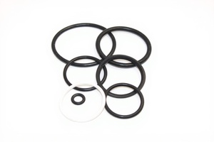 Seal Kit F.Non-Return Valve RV RVH-10