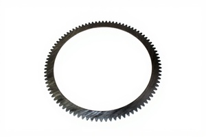 Outer Multi-Disc